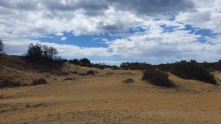 2023-GC--Mapalomas dunas-S123-010.jpg